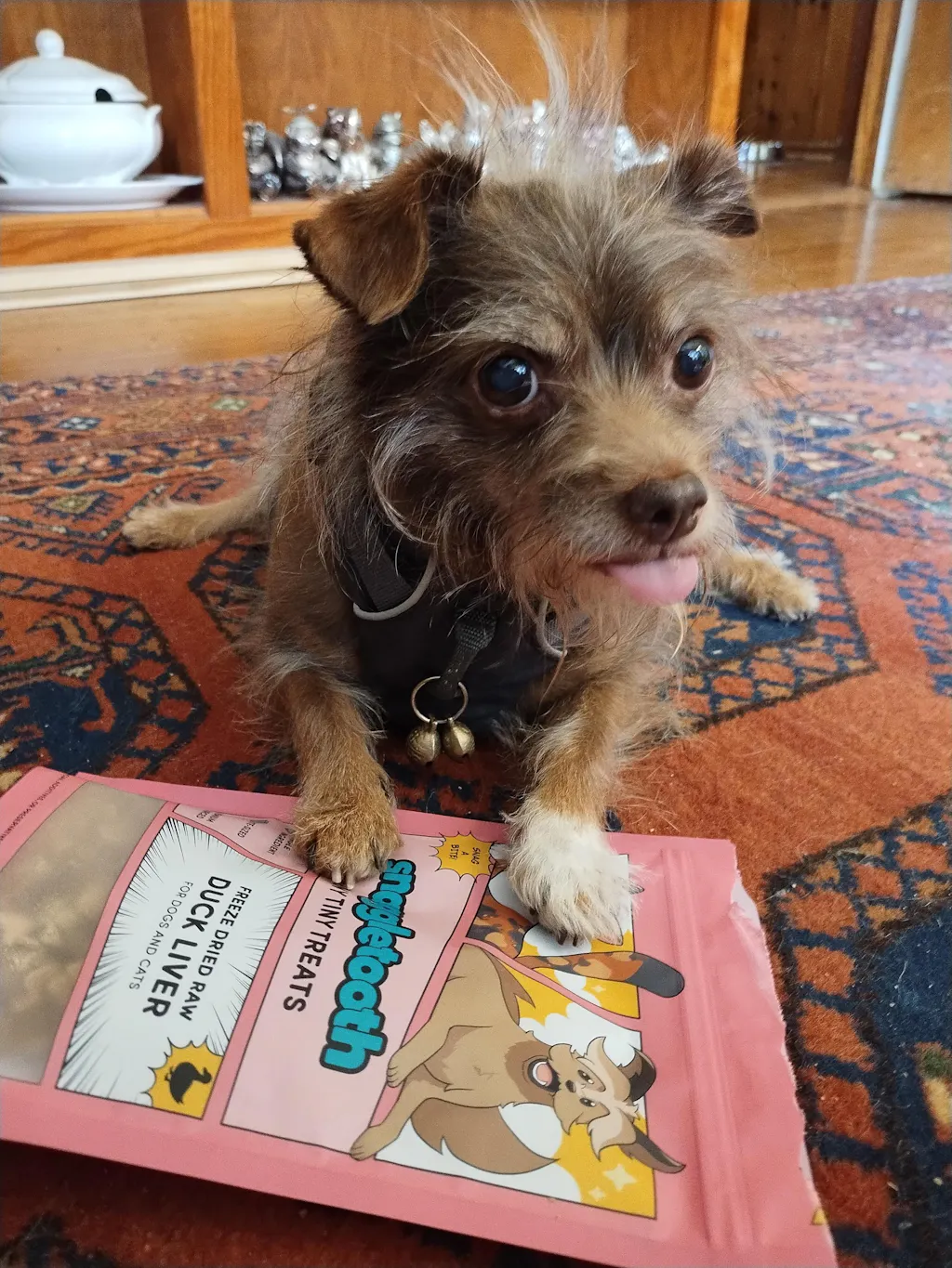 Teeny Tiny Treat Bundle