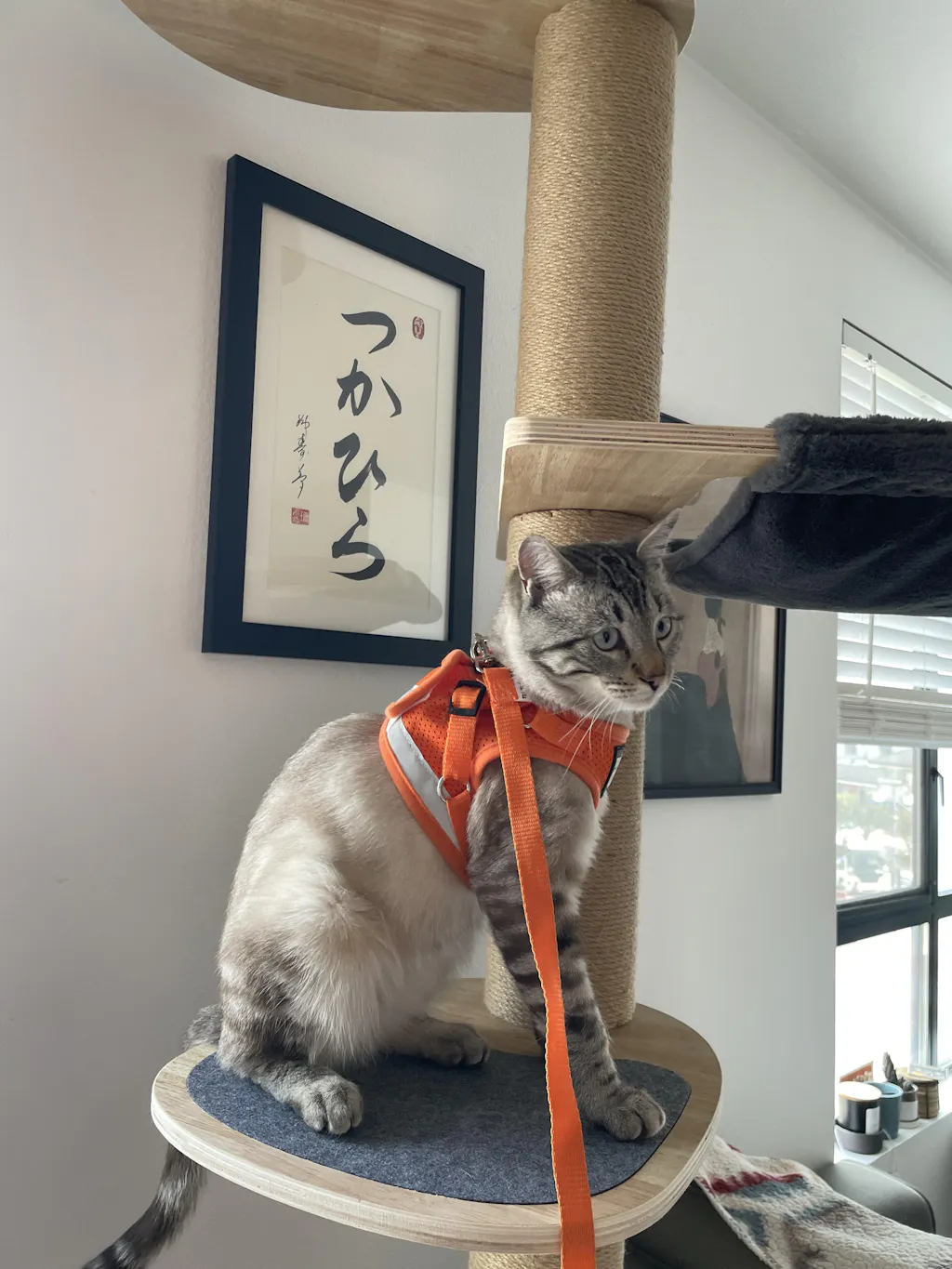 Teeny Tiny Treat Bundle