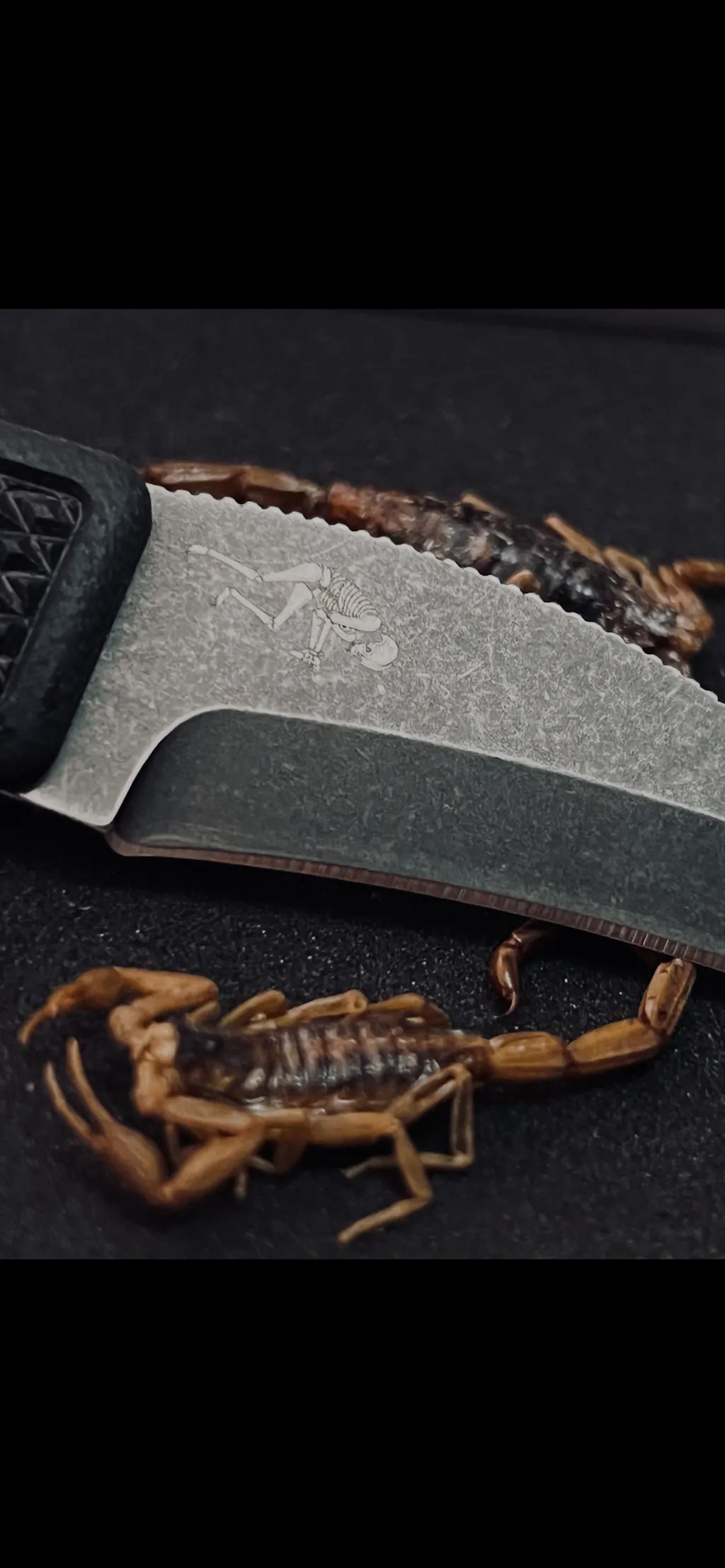 PRE-ORDER: Elvia Utility Blade – SNEAKREAPER INDUSTRIES