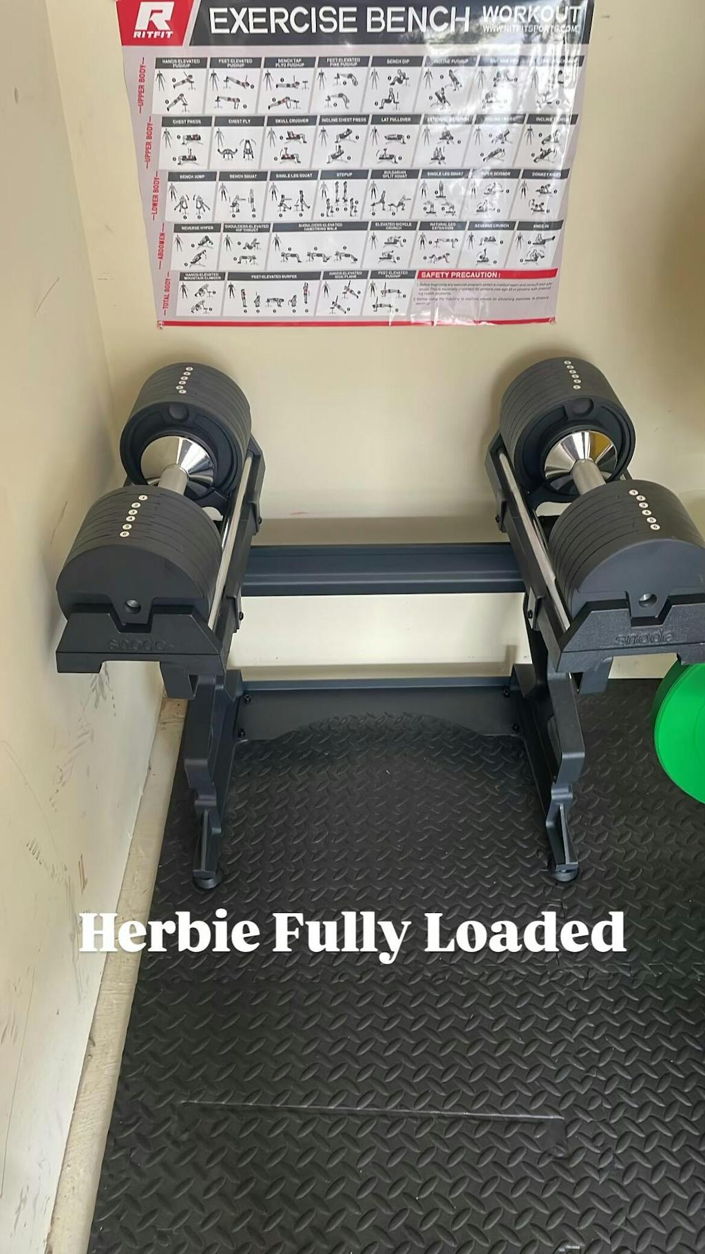 Snode AD80 Drop-proof Cast Iron Adjustable Dumbbells 80 LB