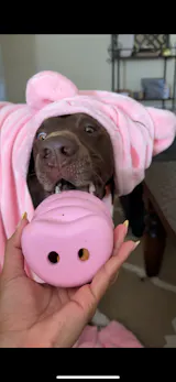 The Oinker
