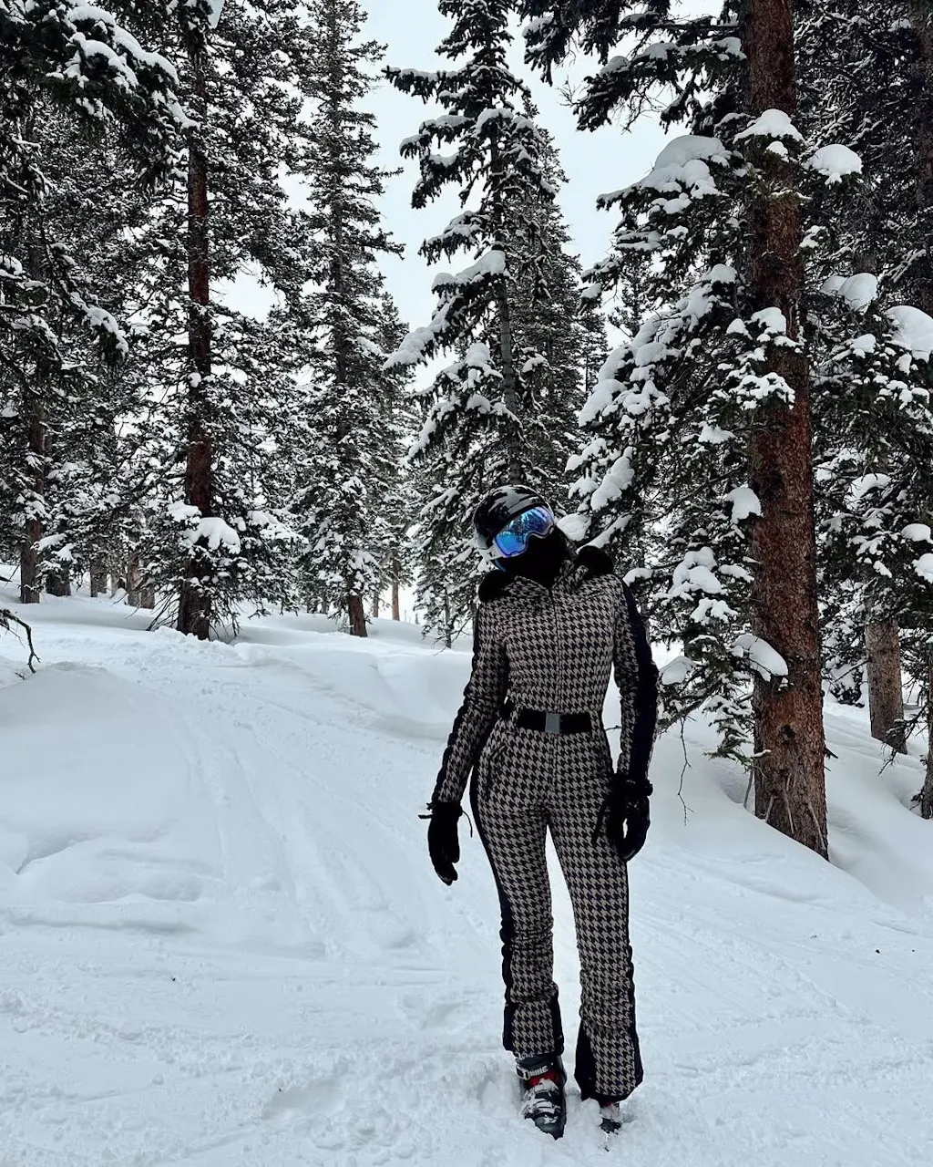 Women's Ski Carver Mountain Chic One Piece Ski Suits main image 0