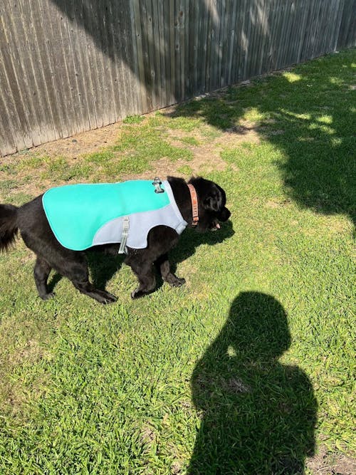 CHILLVEST™ - Cooling vest