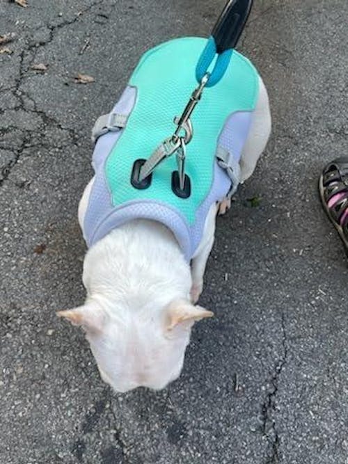 CHILLVEST™ - Cooling vest