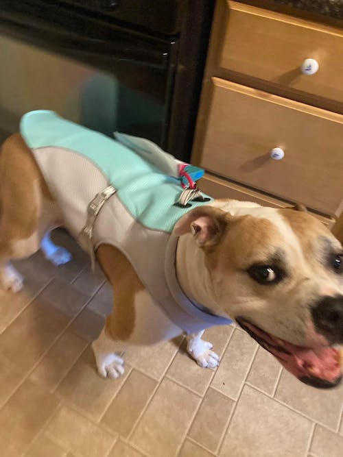CHILLVEST™ - Cooling vest