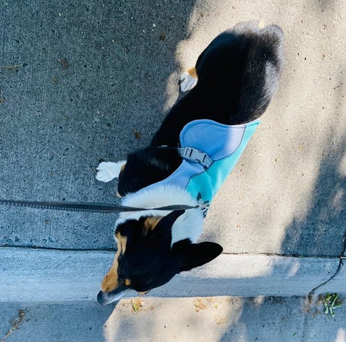 CHILLVEST™ - Cooling vest