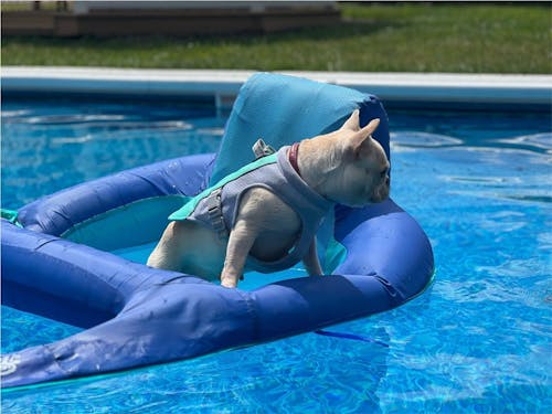 CHILLVEST™ - Cooling vest