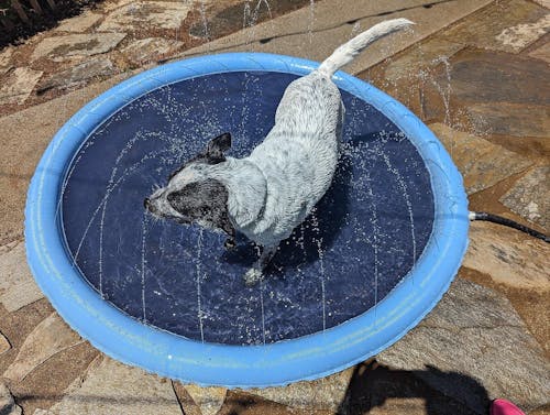 SPLASHPAD™ - backyard water park