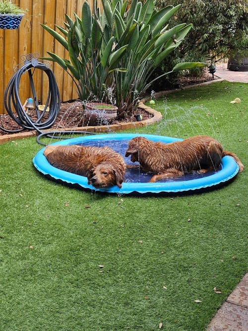 SPLASHPAD™ - backyard water park