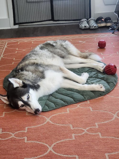 LEAFMAT™ - Leaf shaped cooling mat