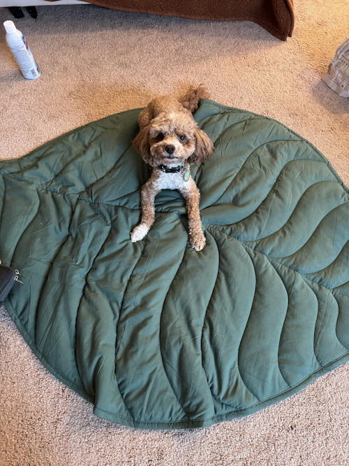 LEAFMAT™ - Leaf shaped cooling mat