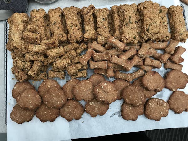 Doggy Treats Kit - make your own