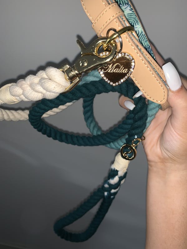 Dog Rope Leash Teal | Twisted