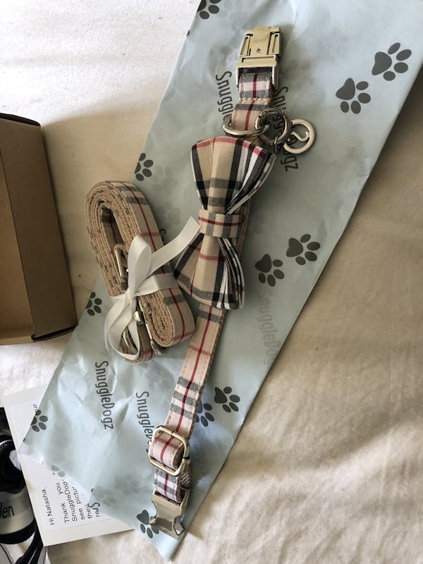 Dog Collar Cream Check | Bold