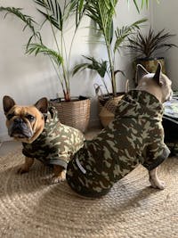 Bamboo Dog Hoodie | Camo