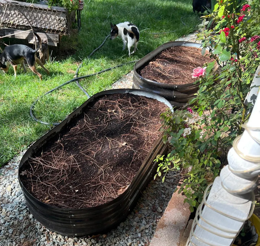 12" Tall 4x2 ft Galvanized Module Metal Raised Garden Bed, Oval Metal Planter Box for Planting Plants Vegetables