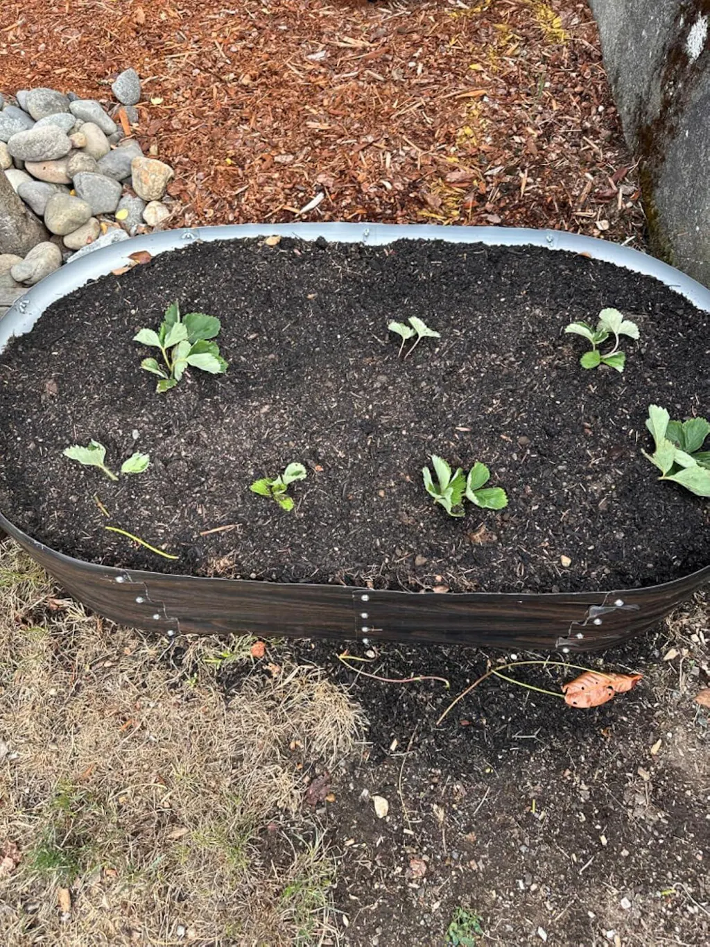 12" Tall 4x2 ft Galvanized Module Metal Raised Garden Bed, Oval Metal Planter Box for Planting Plants Vegetables