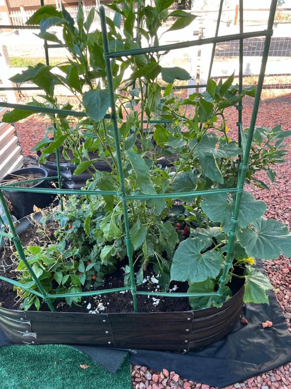 12" Tall 4x2 ft Galvanized Module Metal Raised Garden Bed, Oval Metal Planter Box for Planting Plants Vegetables