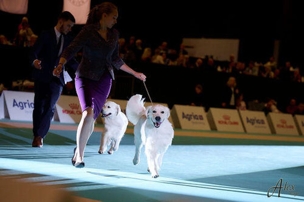 I'm So Fantastic Conditioner