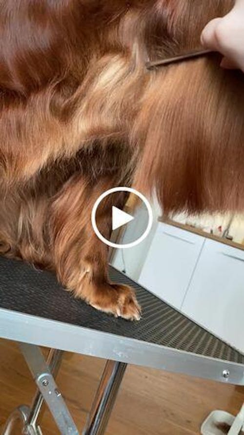 I'm So Silky Shampoo