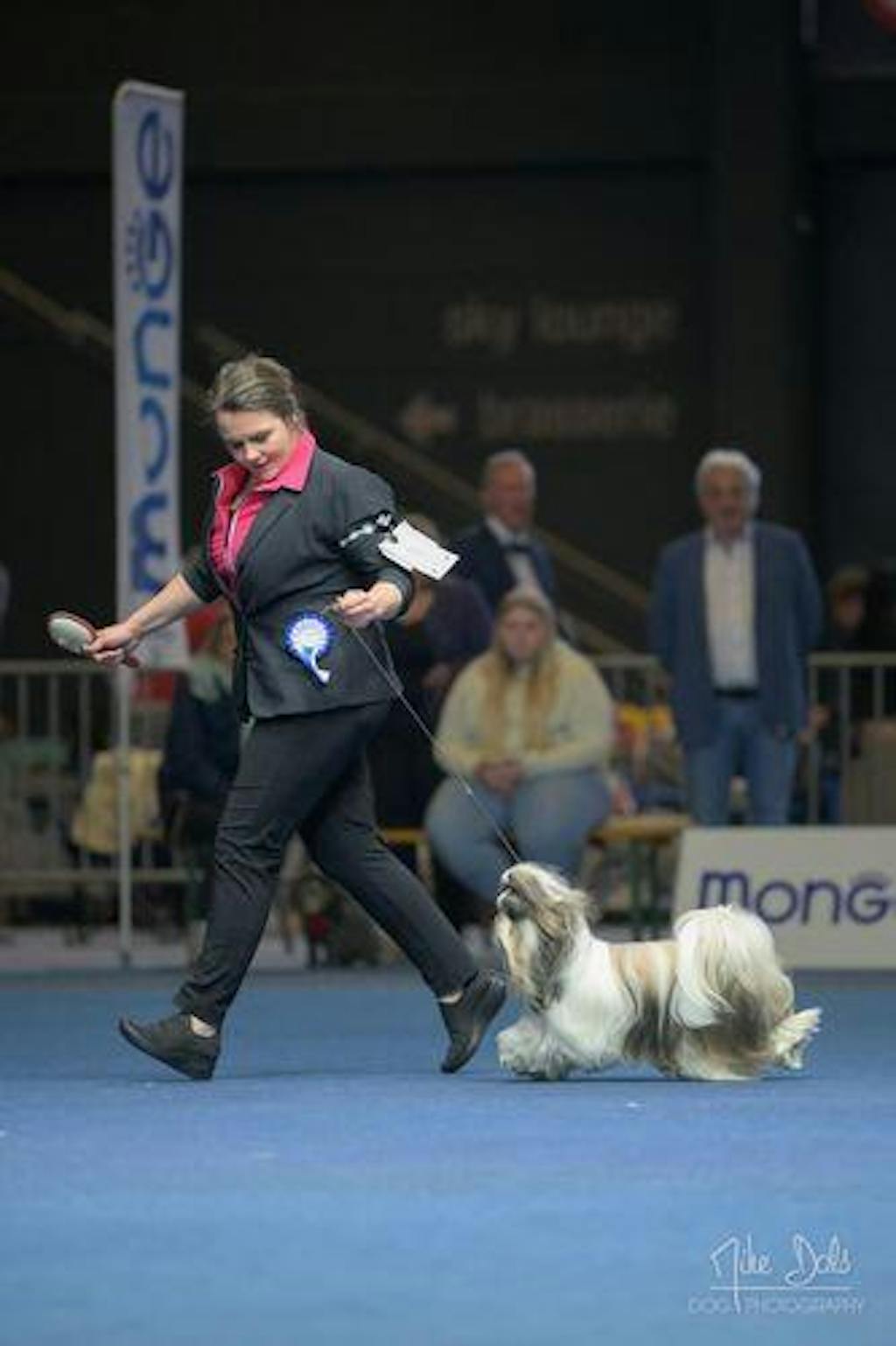 I'm So Silky Leave-On Conditioner