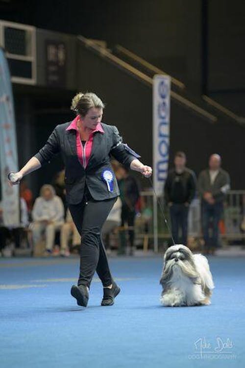 I'm So Silky Shampoo