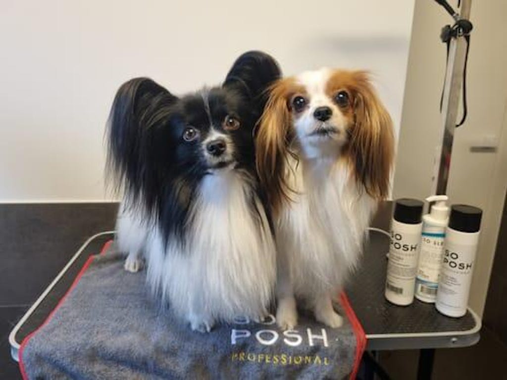 I'm So Silky Rinse-off Conditioner