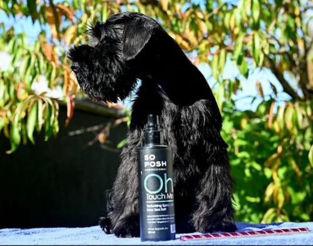 Oh, Touch Me Texturizing Spray