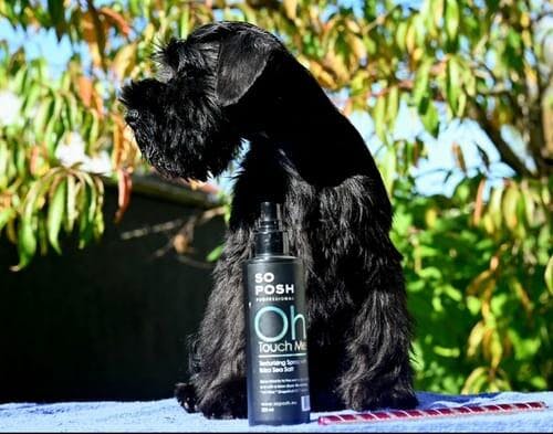 Oh, Touch Me Texturizing Spray