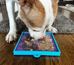 Review picture