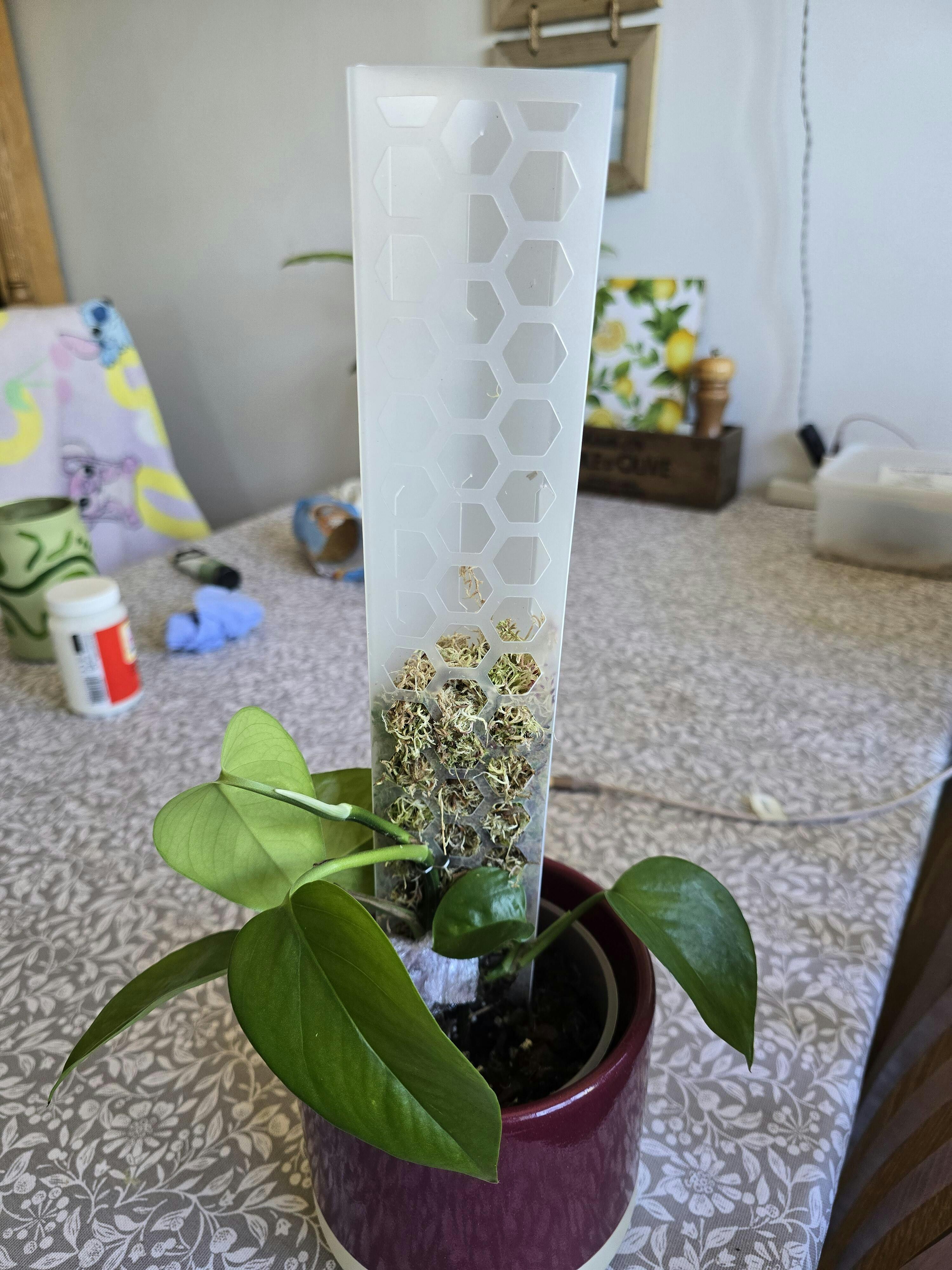 Moss Poles – Soil Ninja