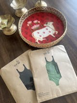 Men’s Brief-Cut Bodysuit – Soma Briefline B1