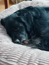 SCHONBEZUG KONFIGURATOR