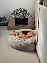 MOLTON / Nässe- und Milbenschutz