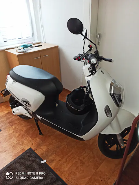 E-Motorroller Aufkleber: SONS OF ELECTRICITY E-Scooter Fans