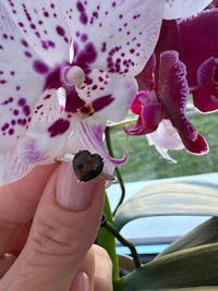 Inel Aur 14k Inima cu Diamante 0.037ct si Cuart 1.683ct