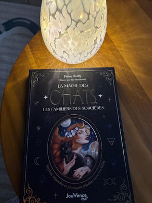 Livre "La magie des chats, les familiers des sorcières"