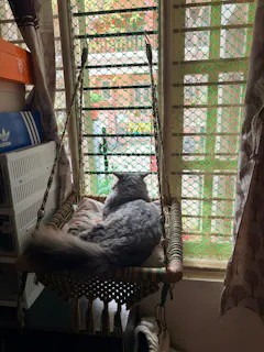 Review picture