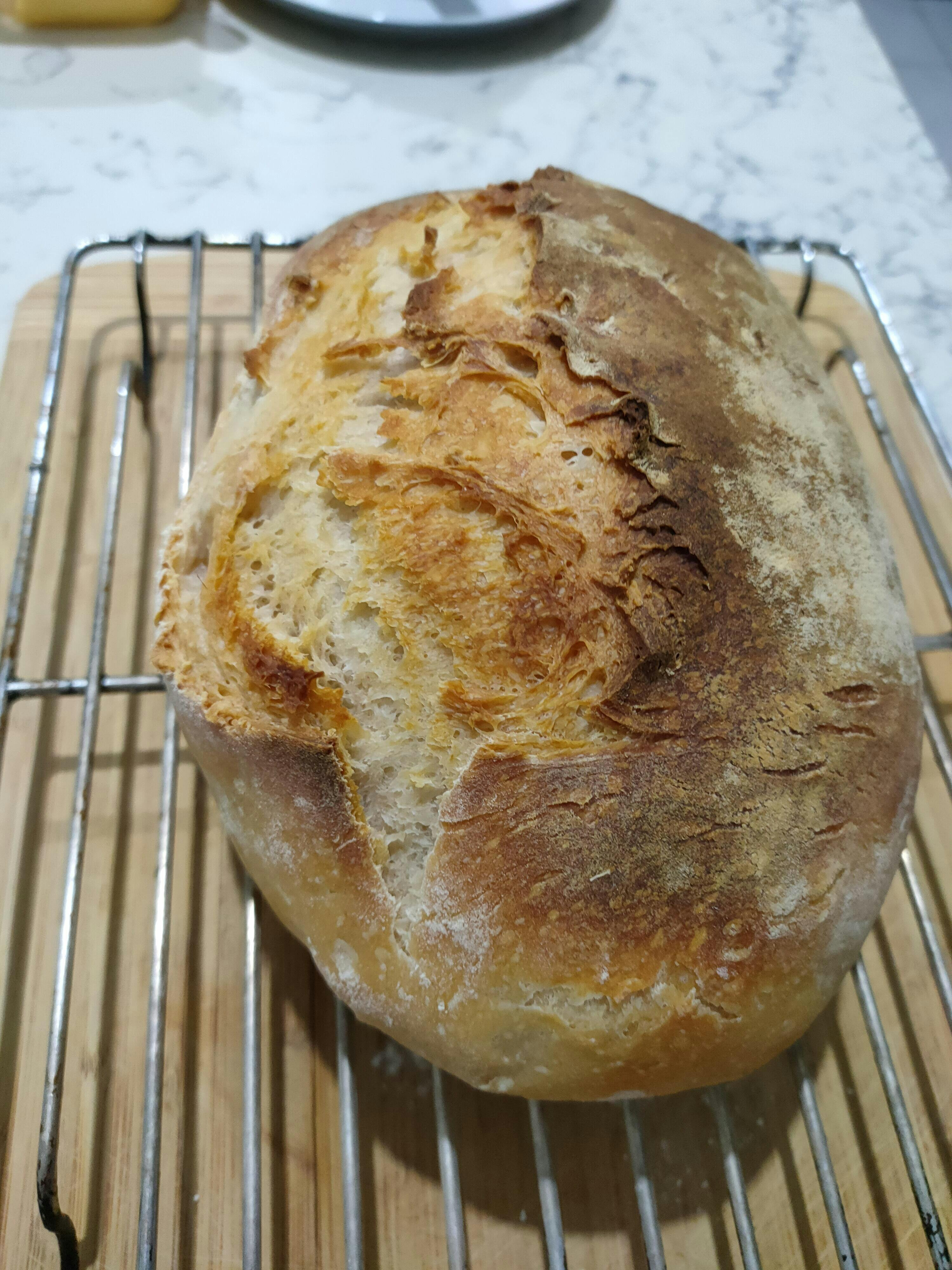 Complete Starter Bread Kit Sourdough Mate