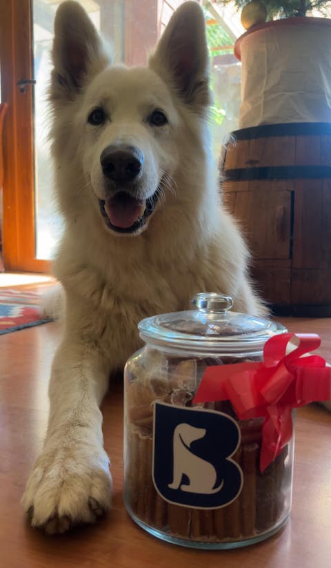 Bites de Navidad: Edición Especial