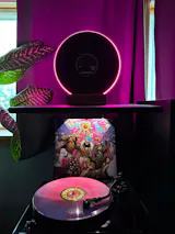 User picture
