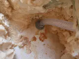 Ozone Wall Fitting Jet ¾" Barb