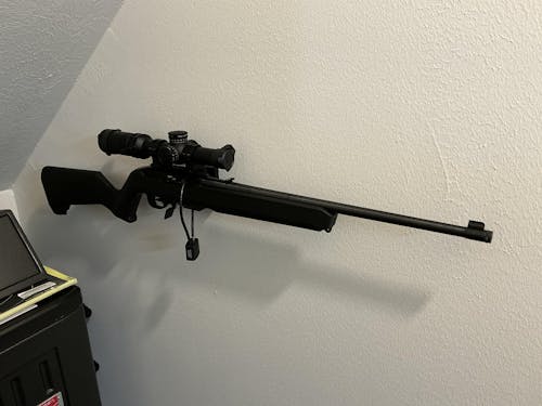 Ruger 10-22 Mount