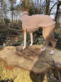 THE ECHO Herringbone Whippet Jumper