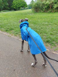 THE OLLIE Water-resistant Puppy Raincoat