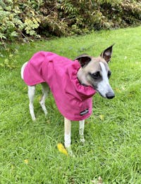 THE OLLIE Water-resistant Puppy Raincoat