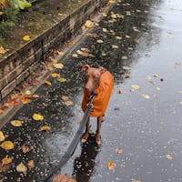 THE ROXY Lightweight Italian Greyhound Raincoat Collection