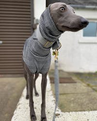 THE MADDY Dog Tooth Check Whippet Jumper