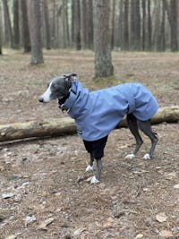 THE BLUE Lightweight Water-resistant Whippet Raincoat