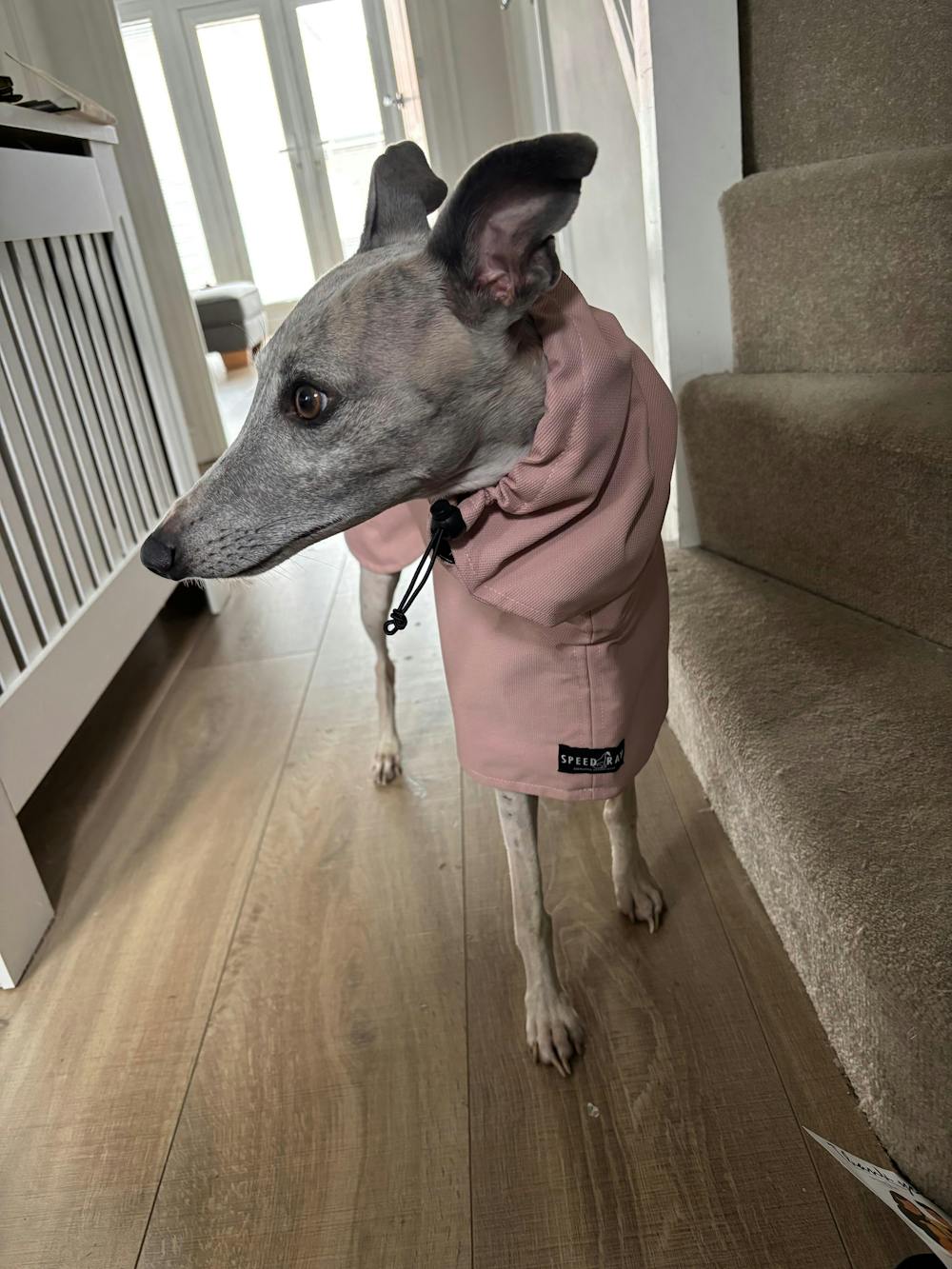 THE ROXY Whippet Raincoat (Lights) - In Stock